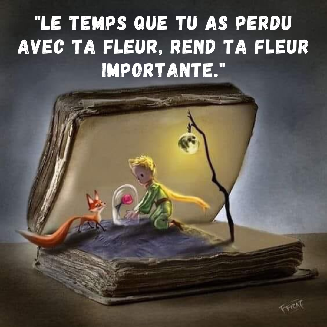 🌹🦊🤴La rose et le petit prince pour professionnels en quête de sens